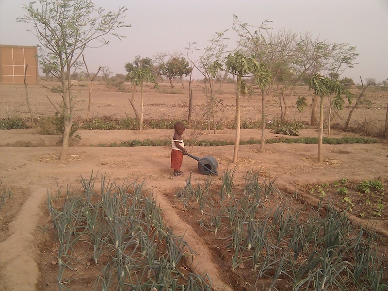Enfant dans le jardin maraicher de l'école de Kiendsom au Burkina-Faso